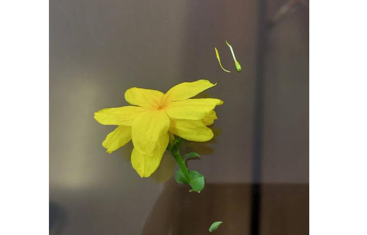 انجام تعدادی از فعالیت های کتاب علوم فصل های 6،7،9و 10 4