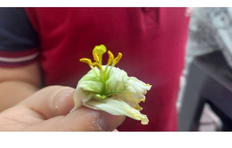 انجام تعدادی از فعالیت های کتاب علوم فصل های 6،7،9و 10 6