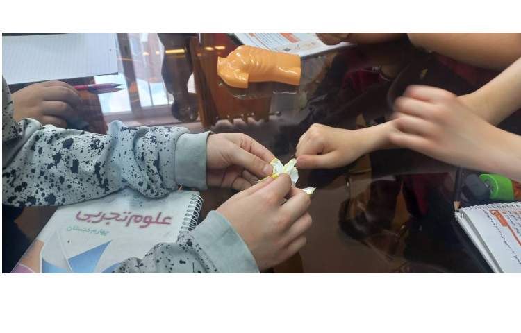 انجام تعدادی از فعالیت های کتاب علوم فصل های 6،7،9و 10 7