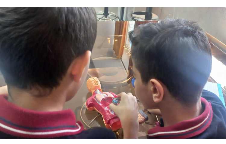 انجام تعدادی از فعالیت های کتاب علوم فصل های 6،7،9و 10 9