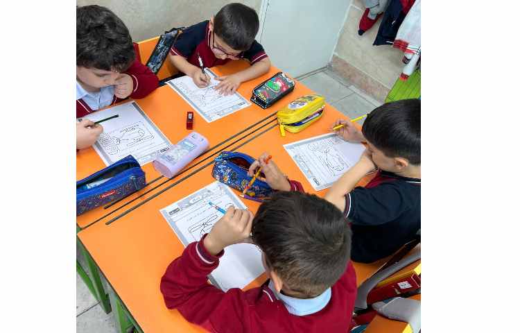 انجام دست ورزی تنوین 6