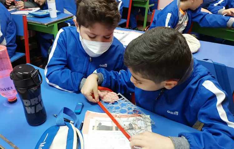 انجام فعالیتهای عینی محیط 4