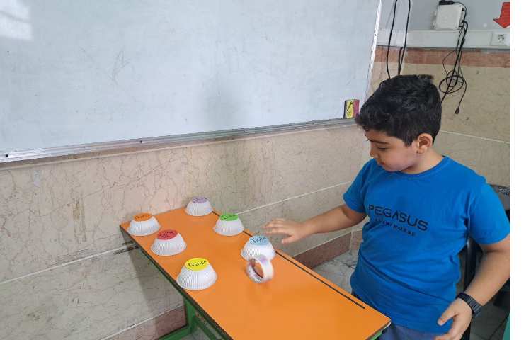 انجام فعالیت roll and choose برای مرور مطالب. 2