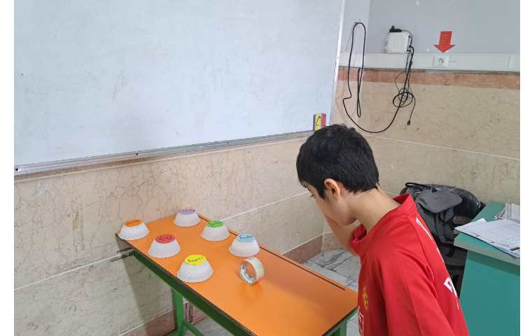 انجام فعالیت roll and choose برای مرور مطالب. 7