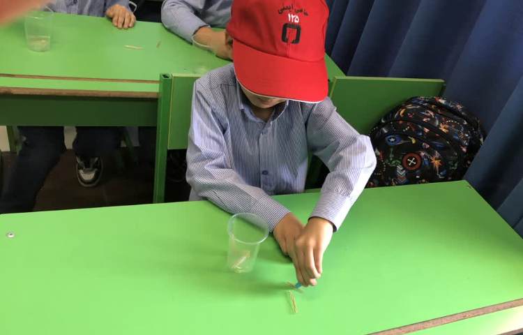 انجام فعالیت دست ورزی 1