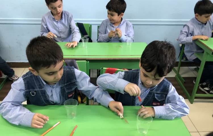 انجام فعالیت دست ورزی 2