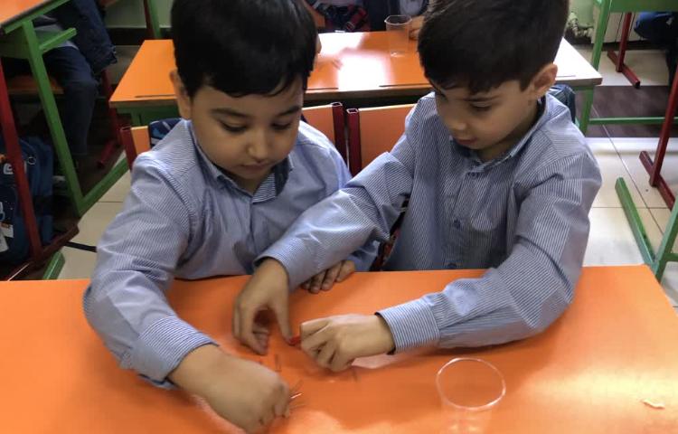 انجام فعالیت دست ورزی