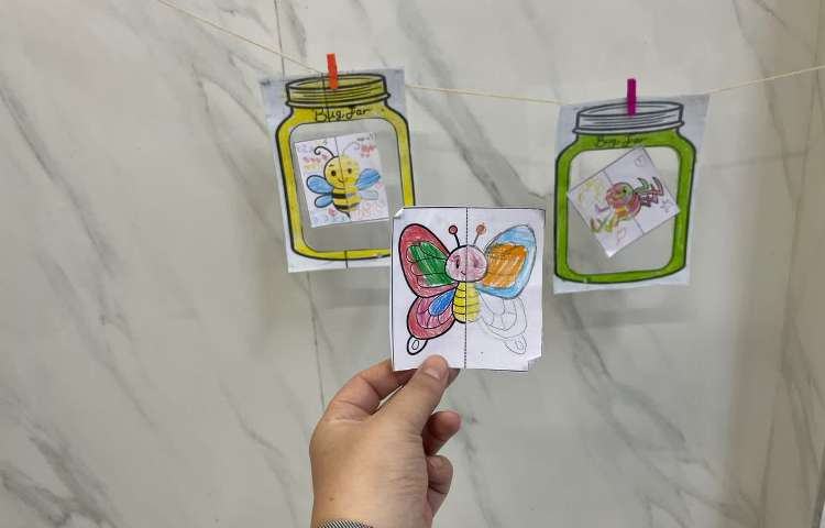 انجام فعالیت مربوط به Bugs شناخت حشرات 3