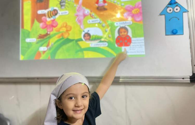 انجام فعالیت مربوط به Insects 1