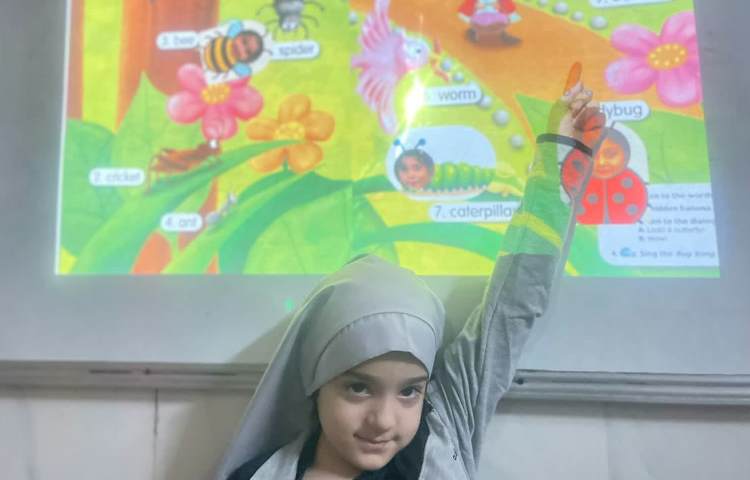 انجام فعالیت مربوط به Insects 2