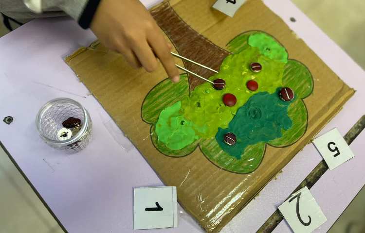 انجام فعالیت مربوط Mathematics 1