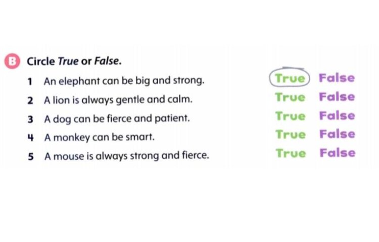 انجام فعالیت‌های True False با بازی