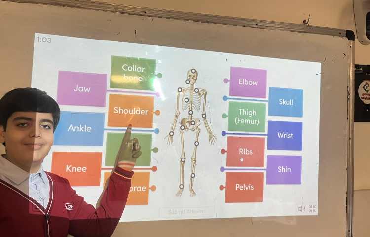 انجام فعالیت‌های مربوط به درس skeleton, 1