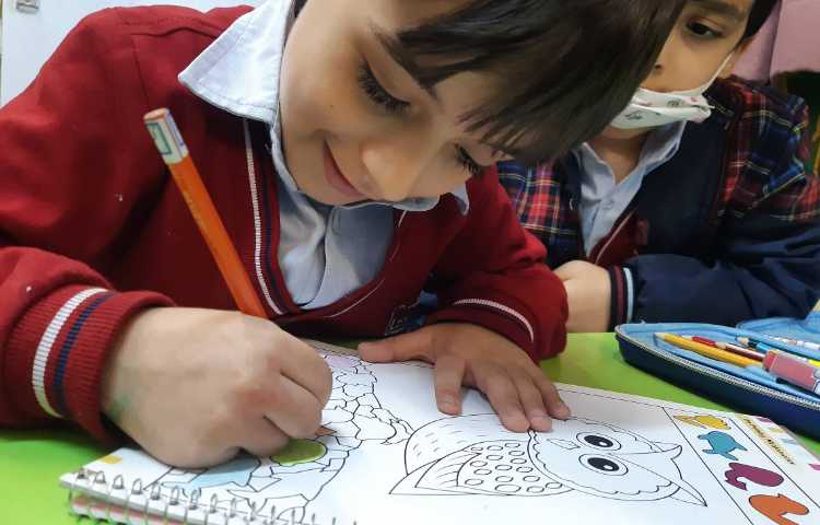 انجام فعالیت‌های کتاب Math 5