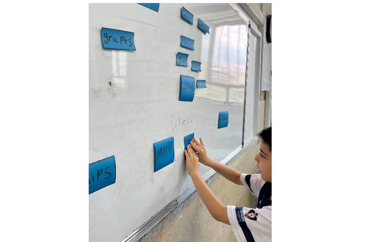 انجام فعالیت look and pick و دسته بندی خوراکی های مختلف 1