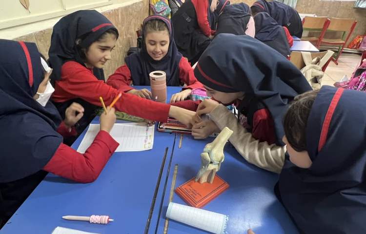 انجام فعالیت گروهی دانش اموزان در گروه های هاووس سیستمی 3