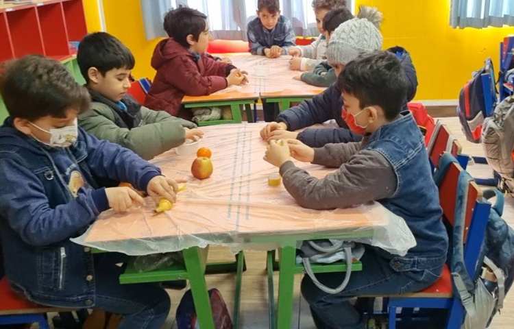 :انجام پروژه زبان، ویتامین های موجود در میوه ها 2