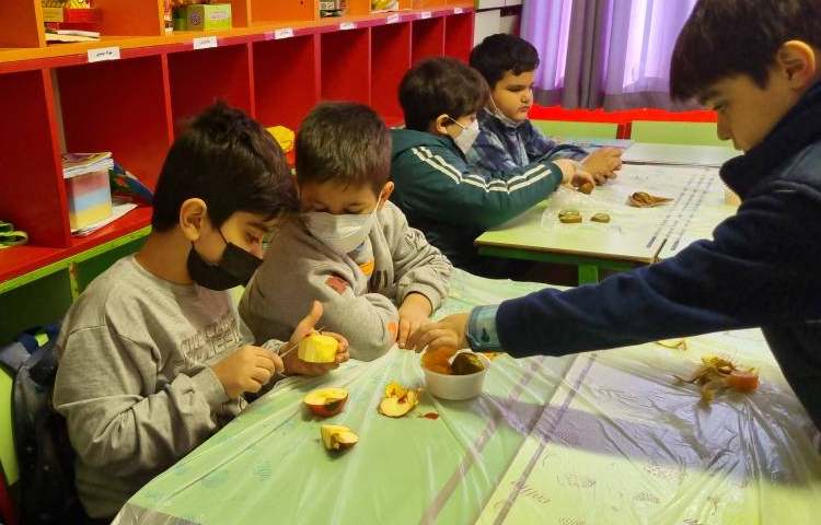 :انجام پروژه زبان، ویتامین های موجود در میوه ها 3