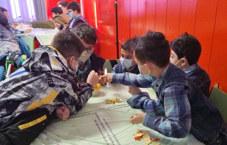 :انجام پروژه زبان، ویتامین های موجود در میوه ها 4