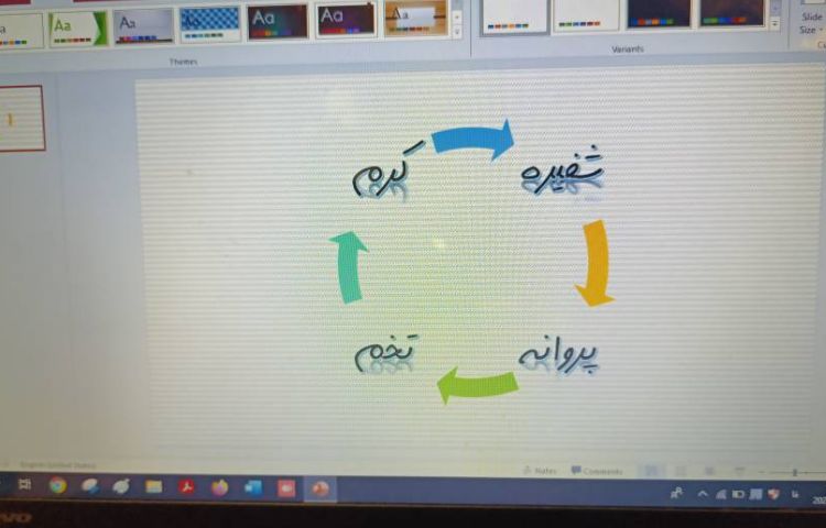 انجام پروژه پایانی شماره سه پاورپوینت 1