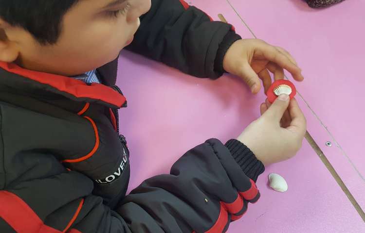 انجام کاوشگر جهت مشاهده‌ی تولید فسیل 3