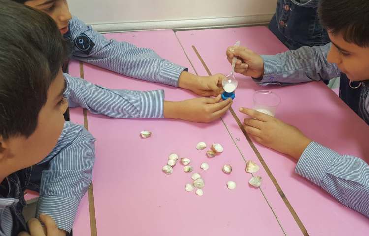 انجام کاوشگر جهت مشاهده‌ی تولید فسیل 4