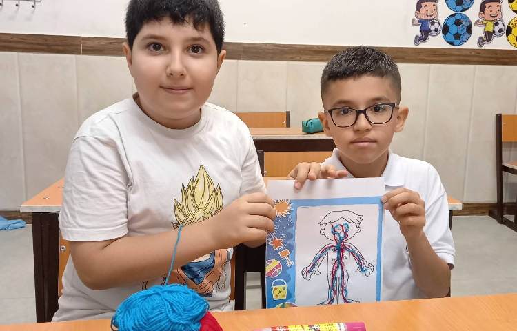 اندام‌های داخلی بدن انسان 2