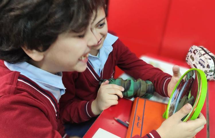 انواع آینه ها 2