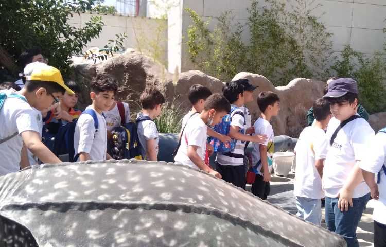 اولین اردو پایگاه تابستانی در اقیانوس پارک. آشنایی دانش‌آموزان با جانوران آبزی