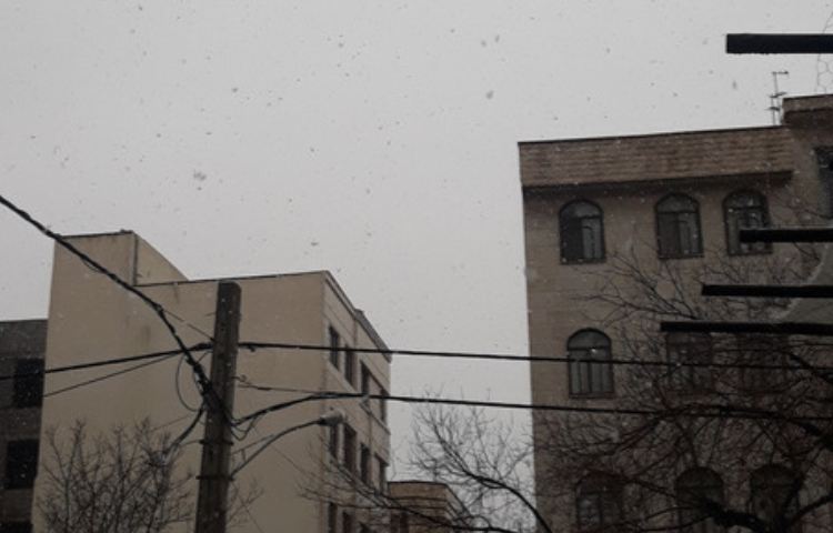 اولین برف زمستانی 2