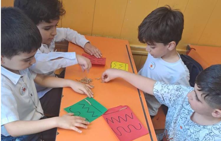 اول پرتقال 3