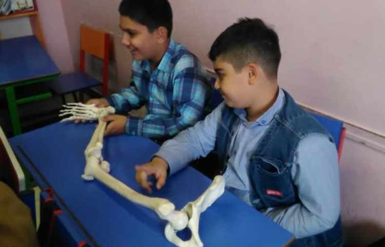ایجاد انگیزه درس علوم اشنایی با اسکلت بدن 2