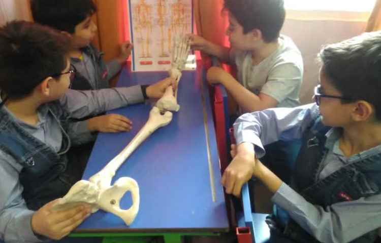 ایجاد انگیزه درس علوم اشنایی با اسکلت بدن 3