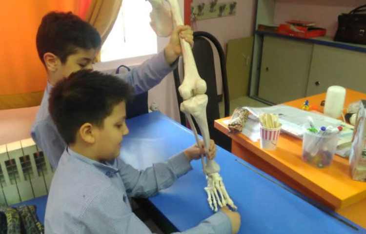 ایجاد انگیزه درس علوم اشنایی با اسکلت بدن