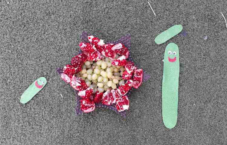 :ایجاد انگیزه نشانه اَ، کلاس گیلاس 2