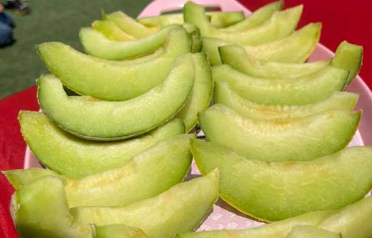 ایجاد انگیزه و جشن یادگیری متفاوت نشانه ط دانش آموزان پایه اول دبستان 11