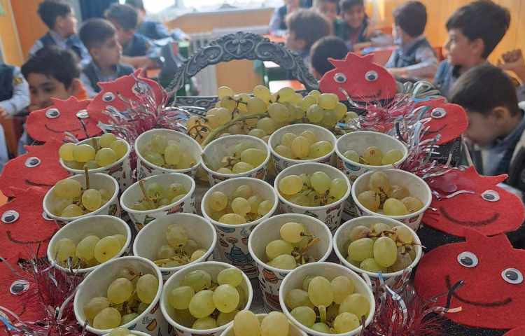 ایجاد انگیزه‌ی نشانه اَ میوه انگور و گیفت انار 2