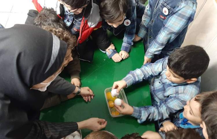 :اُ مثل اُملِت و تُخم مُرغ (ایجاد انگیزه ی نشانه ی اُ) 1