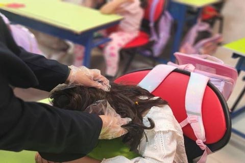 شپش سر در مدارس؟