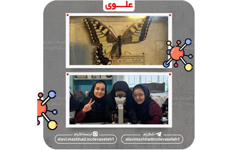 بازدید از آزمایشگاه 3