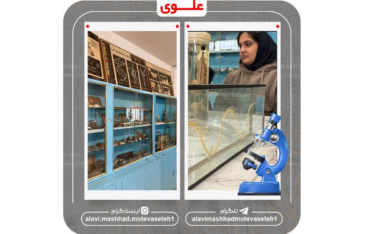 بازدید از آزمایشگاه 7