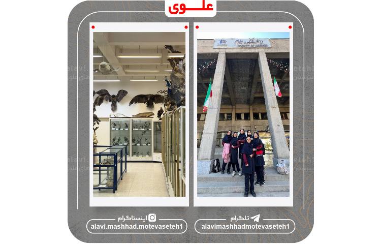 بازدید از دانشکده علوم دانشگاه فردوسی 8