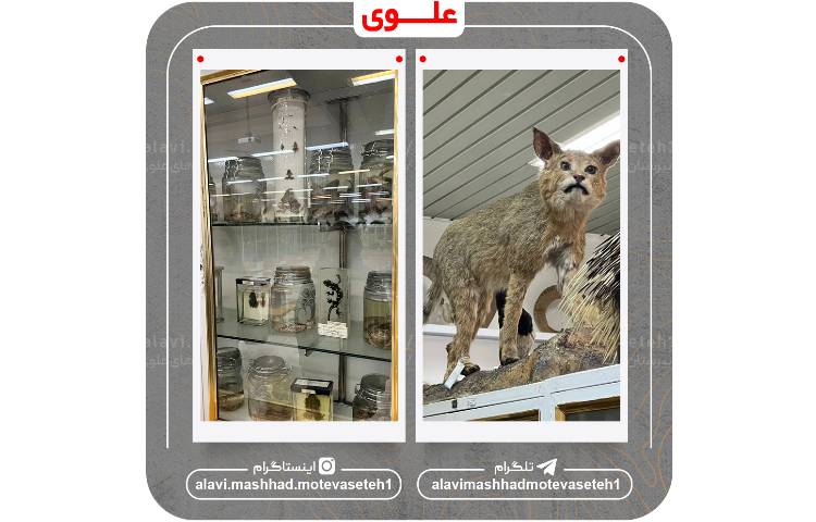 بازدید از دانشکده علوم دانشگاه فردوسی 9