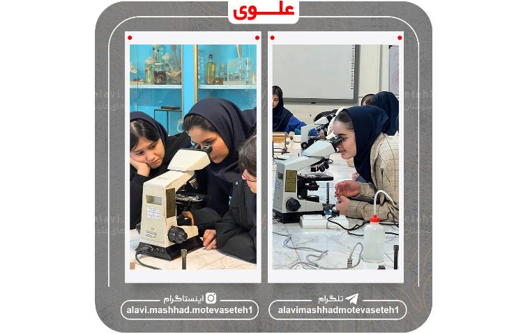 بازدید از پژوهش سرا و آزمایشگاه مرکزی ابوعلی سینا 11