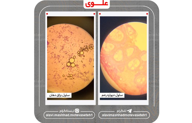 بازدید از پژوهش سرا و آزمایشگاه مرکزی ابوعلی سینا 12
