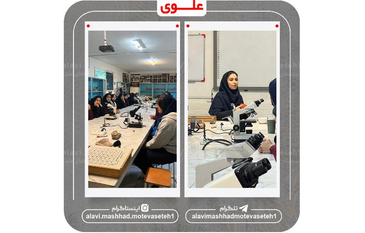 بازدید از پژوهش سرا و آزمایشگاه مرکزی ابوعلی سینا 15