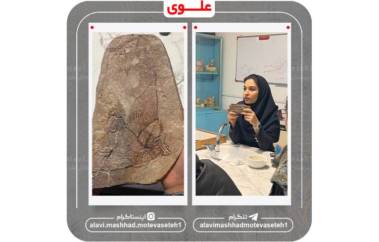 بازدید از پژوهش سرا و آزمایشگاه مرکزی ابوعلی سینا 17