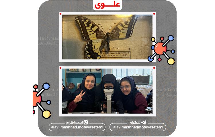 بازدید از پژوهش سرا و آزمایشگاه مرکزی ابوعلی سینا 5