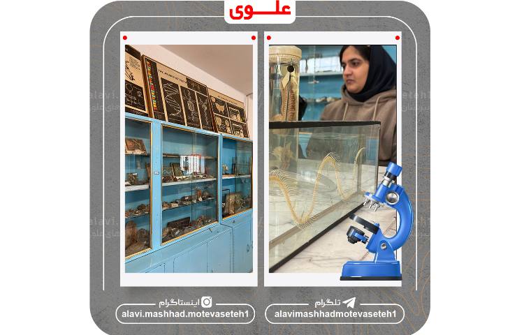 بازدید از پژوهش سرا و آزمایشگاه مرکزی ابوعلی سینا 6