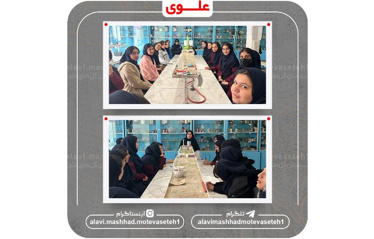 بازدید از پژوهش سرا و آزمایشگاه مرکزی ابوعلی سینا 6